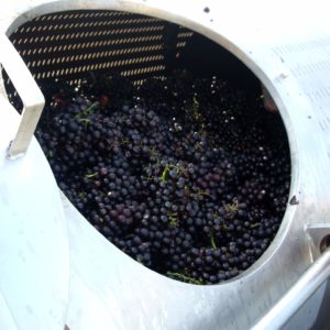 Membrane souple pour pressoir à raisin